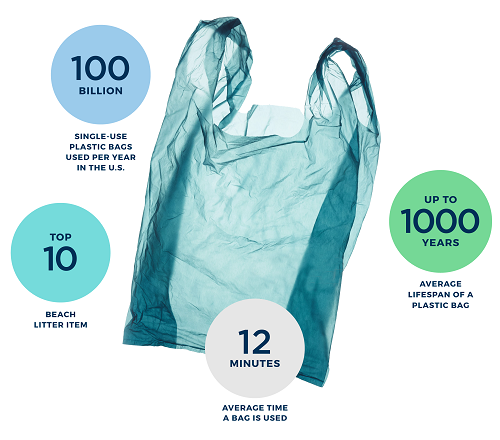 100 x Demarkt Plastic Bags Fruit Bags Roll Fruit Bags Carry Bag Plastic  Knot Bag on Roll Transparent 28 x 17 cm : Amazon.de: Business, Industry &  Science